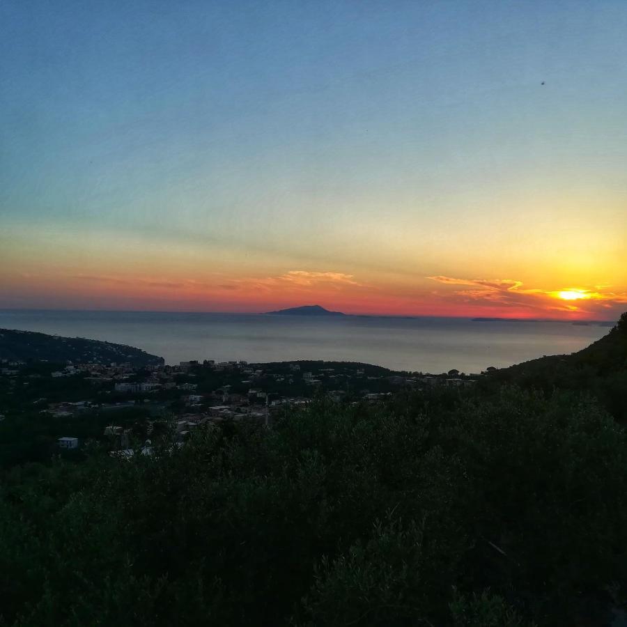 La Mandra, Cottage Tra Gli Ulivi Вико-Экуенсе Экстерьер фото