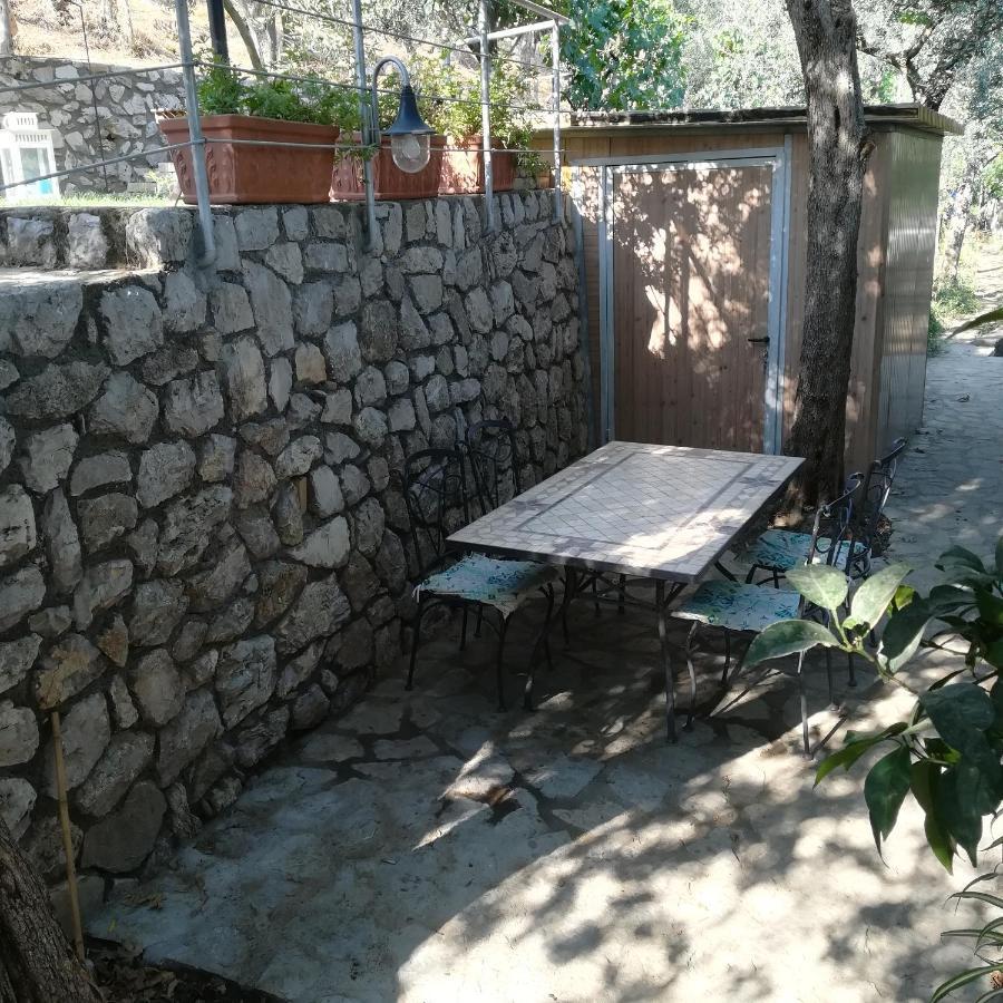 La Mandra, Cottage Tra Gli Ulivi Вико-Экуенсе Экстерьер фото